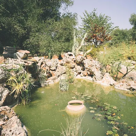 Il Melograno Amico *