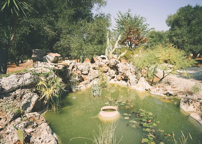 Il Melograno Amico *